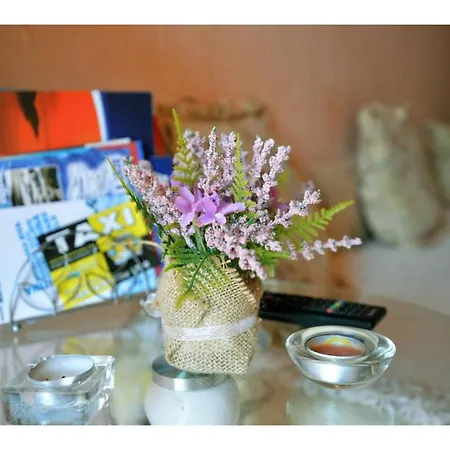 Apartment Sunce